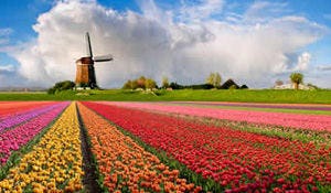 'Weekendje Nederland minder gewild met Pasen