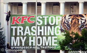 Tropisch hardhout in bakjes van KFC