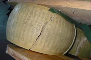 Nederlandse actie om Parmigiano-kaas te redden