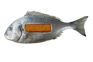 Tentoonstelling over design en voedsel