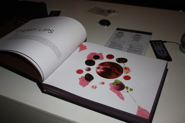 Prijs voor Sergiology van Sergio Herman***