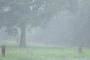 KHN en KNMI om tafel over weerberichten
