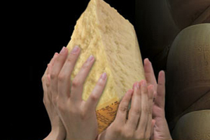 Geslaagde actie voor getroffen Italiaanse kaasboeren