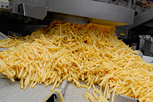 Aviko komt met Beemster Friet