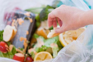 Cateraars Veneca pakken verspilling samen aan