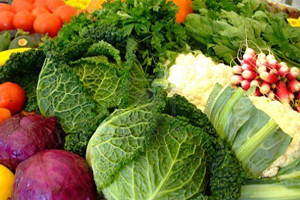 Stadslandbouwbedrijf met restaurant in Rotterdam