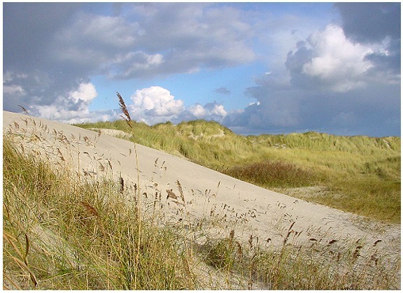 Toename Belgische en Duitse toeristen