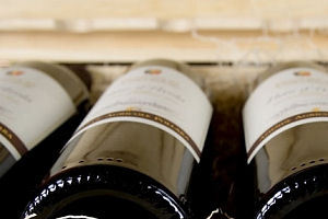 Wijnproeverij van Sterwijnenthuis.nl