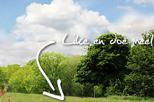 Hampshire plant boom voor elke 25 'likes