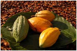 Win kaarten voor Origin Chocolate Event in Amsterdam