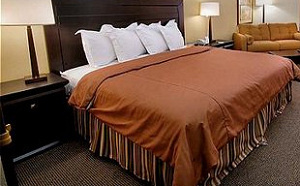 NBTC en transavia.com intensiveren samenwerking