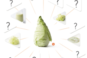 Wereldrecord spitskoolbereidingen geslaagd