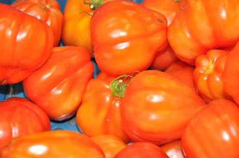 Vitam test eigen ketchup