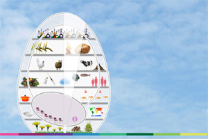 Stichting kiest Ede voor World Food Center