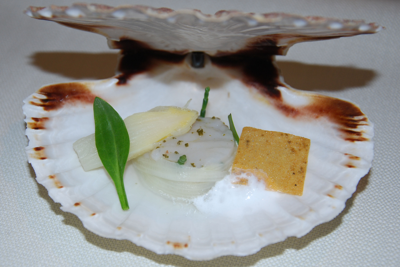 Beste asperge amuse met coquilles