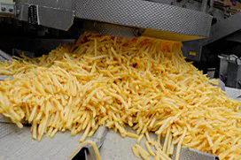 Frites wordt duurder door kou