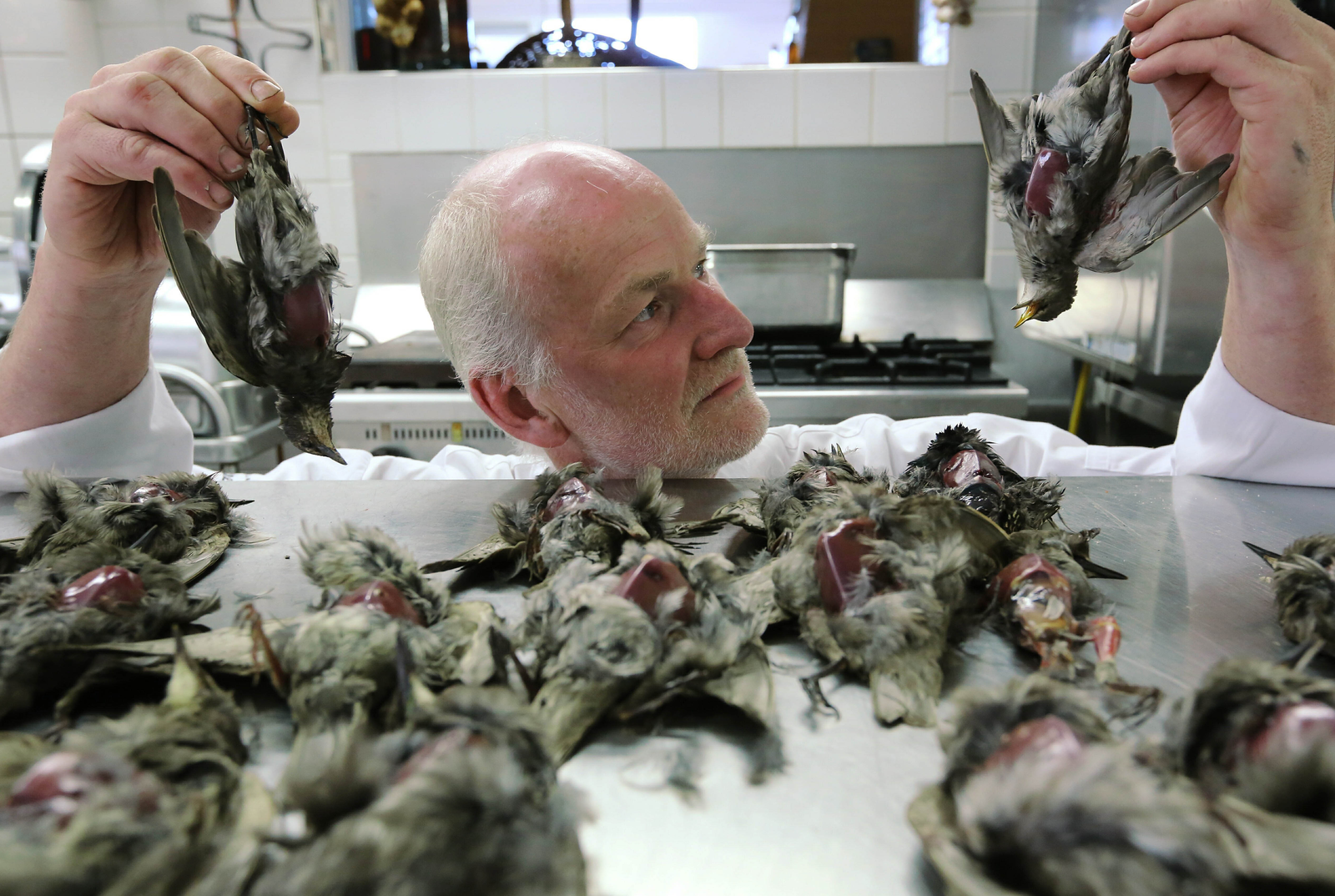 De Pronckheer mag wellicht toch spreeuw serveren