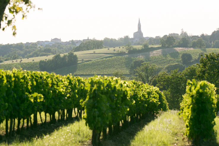 Franse wijnboeren krijgen steun na noodweer