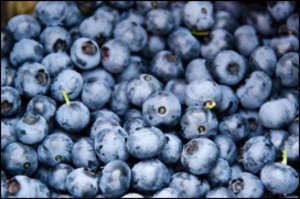 Blauwe bessen tegen ziekteverzuim