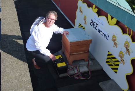 Bijenkolonie op dak van Palace Hotel in Noordwijk