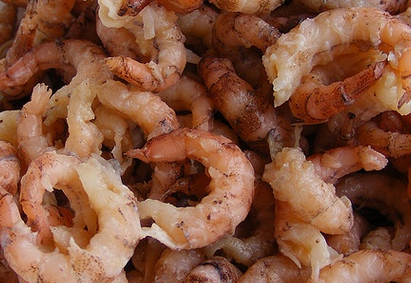 Garnalenleverancier Heiploeg failliet