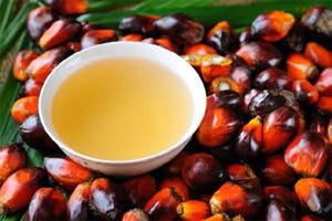 Gebruik duurzame palmolie naar 61 procent
