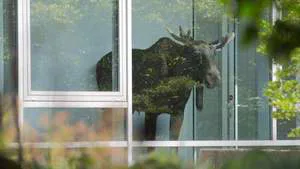 Eland bezet bedrijfsrestaurant Siemens