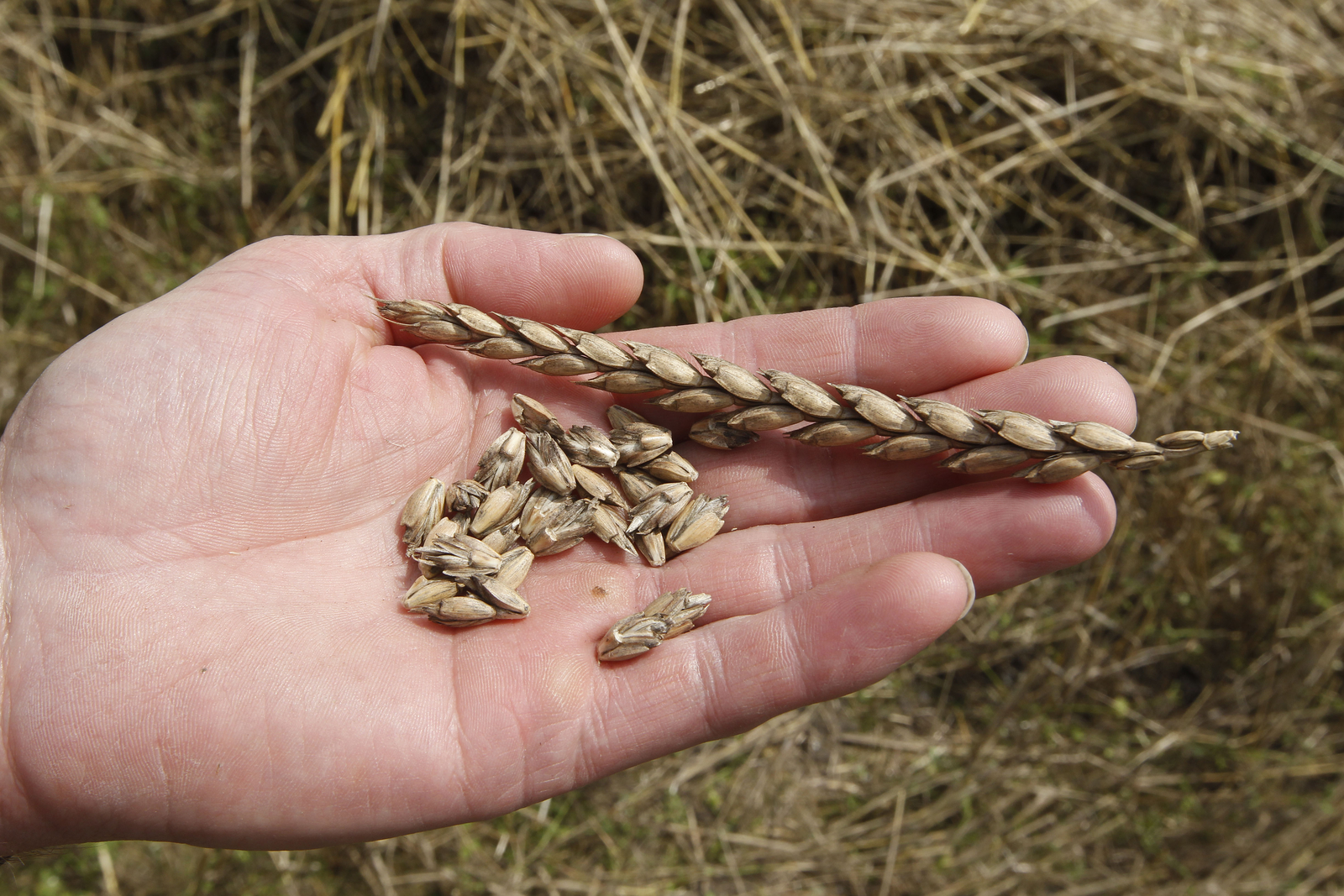 Patiëntenvereniging: 'Document KHN over allergenen in strijd met wet
