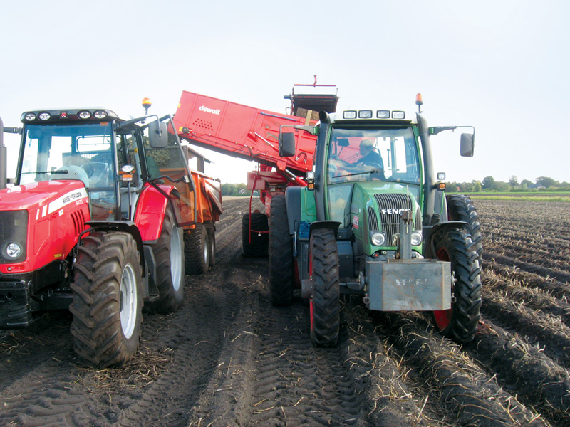 Aardappeloogst op recordhoogte; prijs friet blijft gelijk