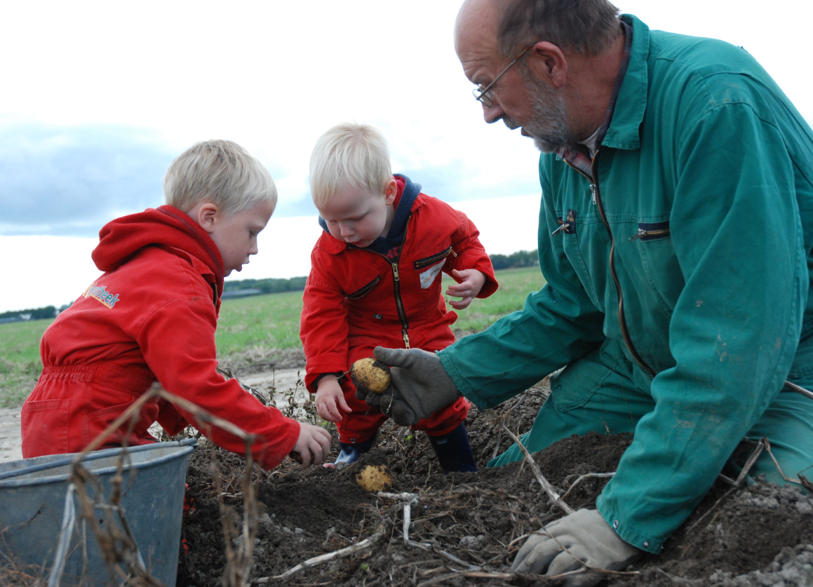 Kinderexcursie 'van aardappel tot frietje' op 4 oktober