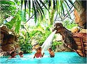 'Center Parcs zet aan tot spijbelen