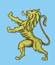 Vlaamse feestdag zonder oubollige vaandels