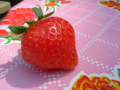 Aardbeienteler met nieuw cateringconcept