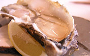 Waddenzee-proef met Japanse oester