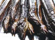 EU pal achter palingplan