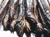 EU pal achter palingplan