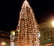 Bavaria-kerstboom bij Heineken-brouwerij geruïneerd