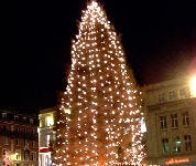 Bavaria-kerstboom bij Heineken-brouwerij geruïneerd