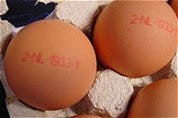 Brussel: Geen risico eten rauwe eieren