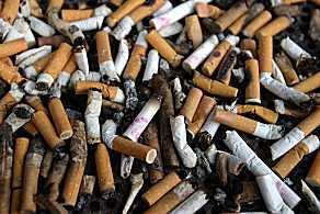 Europees Parlement wil roken in horeca toestaan