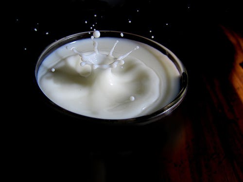 Hogere kwaliteit biologische melk