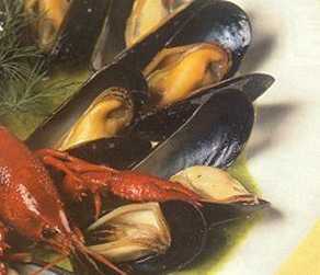 Recordaanvoer aan mosselen