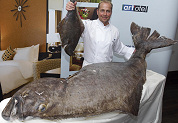 Park Plaza vangt heilbot van 150 kilo