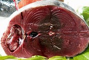 WNF eist stop op tonijnvangst