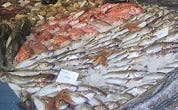 Visafslag veroordeeld voor visfraude