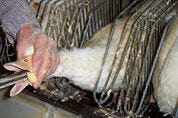 Verburg kaart foie gras aan in Europa