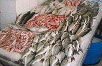 Center Parcs haalt bedreigde vis van menukaart