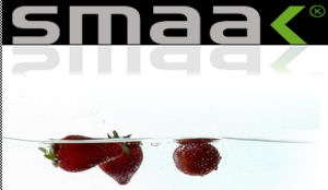 Culinair concept partycateraar Van der Linde