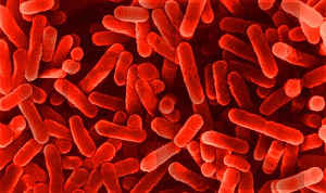 Bedrijfsrestaurant dicht na legionella