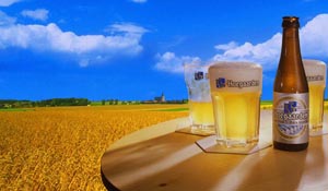 Hoegaarden brouwt weer alle Hoegaarden